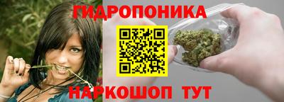 крисы Анапа