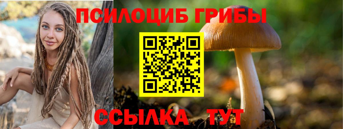 Вязники  Галлюциногенные грибы ЛСД  Галлюциногенные грибы ЛСД  Вход с VPN 